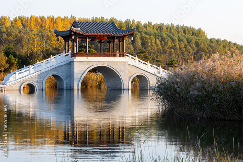 The bridge over the lake in autumn