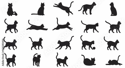 Various cat silhouettes in different actions