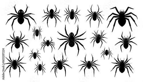 Silhouettes of spiders