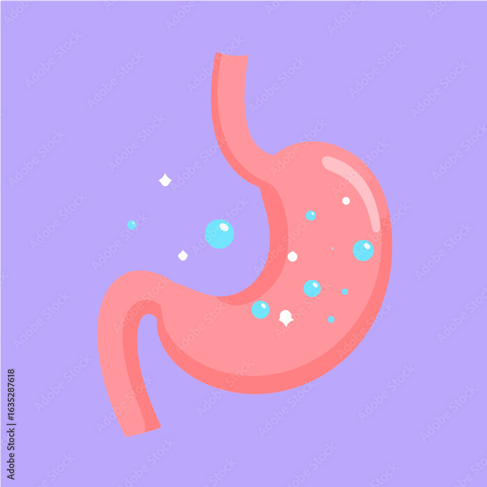 Fototapeta premium Stylized illustration of a human stomach with bubbles, useful for depicting indigestion, gas, or digestive health concepts against a light purple background.