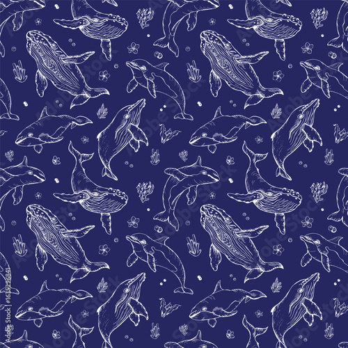 Vector seamless pattern with whales and dolphins. Marine animals in engraving technique, freehand drawing with ink. White elements with dark blue background. Can be used for wallpaper, fabric