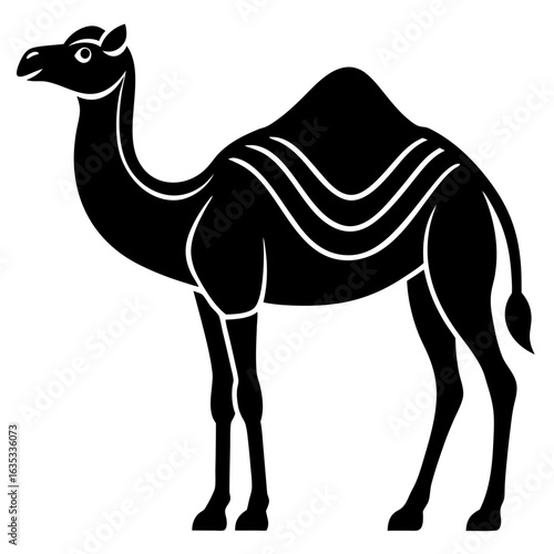 camel in desert