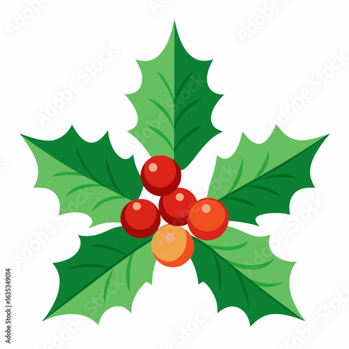 Christmas holly leaves and berries vector illustration