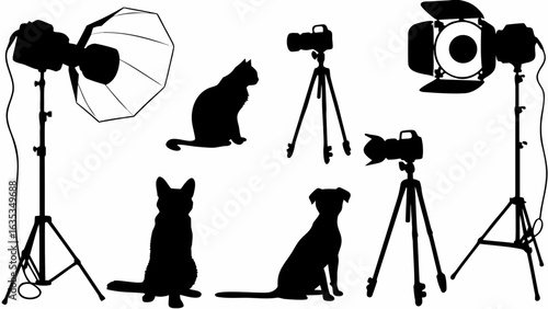 Silhouette of photography studio setup with softbox lights, cameras, tripods, cat and dog subjects