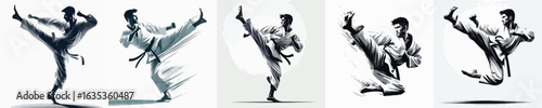 VECTOR IMAGE OF A MAN DOING KARATE WITH WHITE BACKGROUND