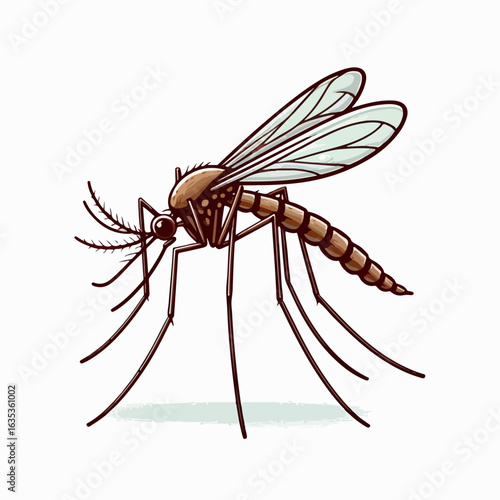 vector illustration of mosquito