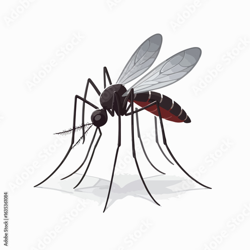 vector illustration of mosquito