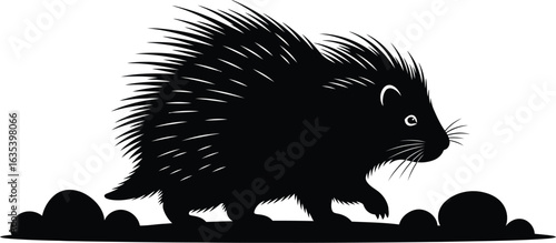 Silhouette of a cute porcupine walking a trail, showcasing its quills and spines as a defense mechanism in the wild