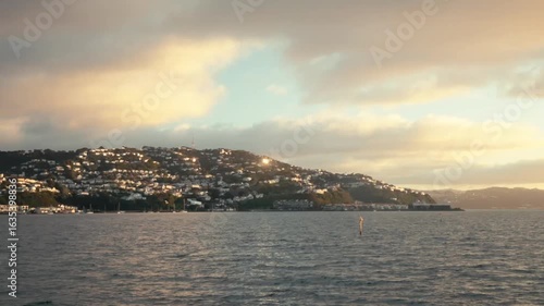 A New Zealand residential hillside at sunrise in Wellington