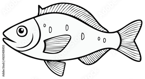 Stylized Fish Outlines Silhouette Sea Life Illustration Aquatic Animal Drawing
