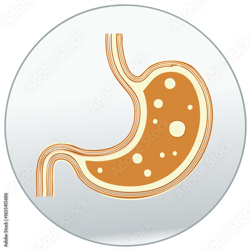 Stylized human stomach icon, cross-section showing digestive process