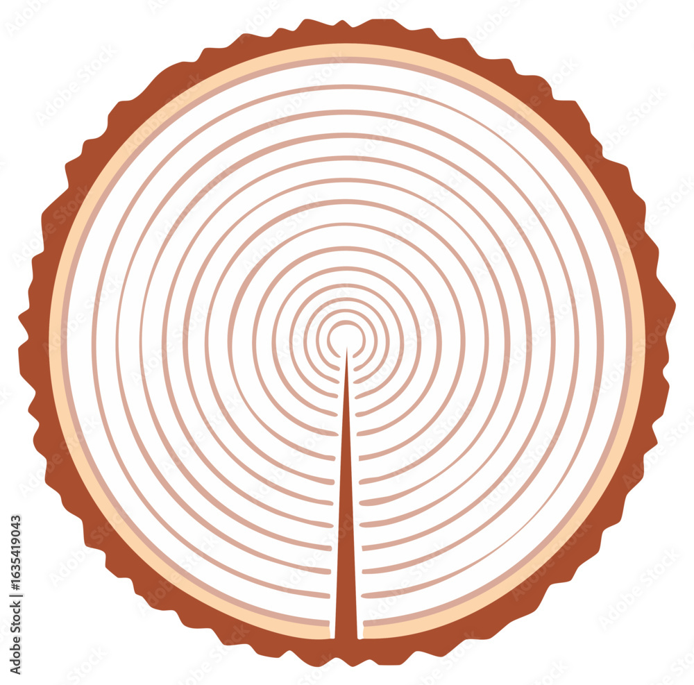 Fototapeta premium Cross section of a tree trunk with annual rings illustration