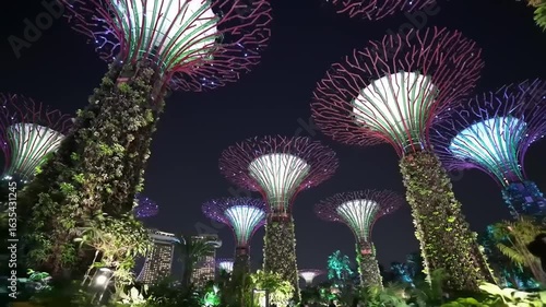 Illuminated Supertrees at Night