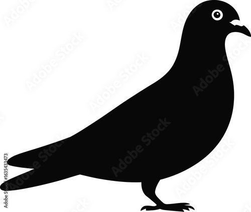 Black pigeon standing profile bird silhouette