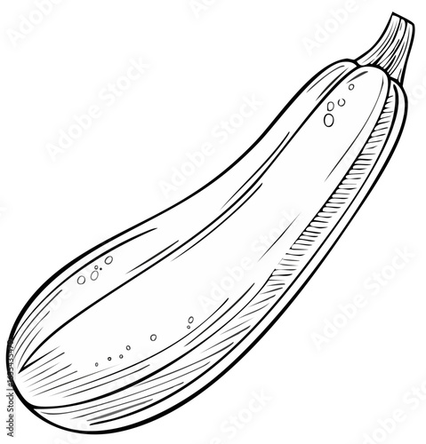 Black and white illustration of a zucchini