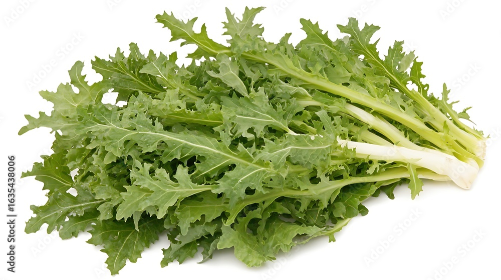 Studio shot of layered lettuce leaves on white background, taken with 50mm lens, showcasing crisp textures and gentle shadow depth in fresh green tones Studio shot of layered lettuce leaves on white background, taken with 50mm lens, showcasing crisp textures and gentle shadow depth in fresh green tones