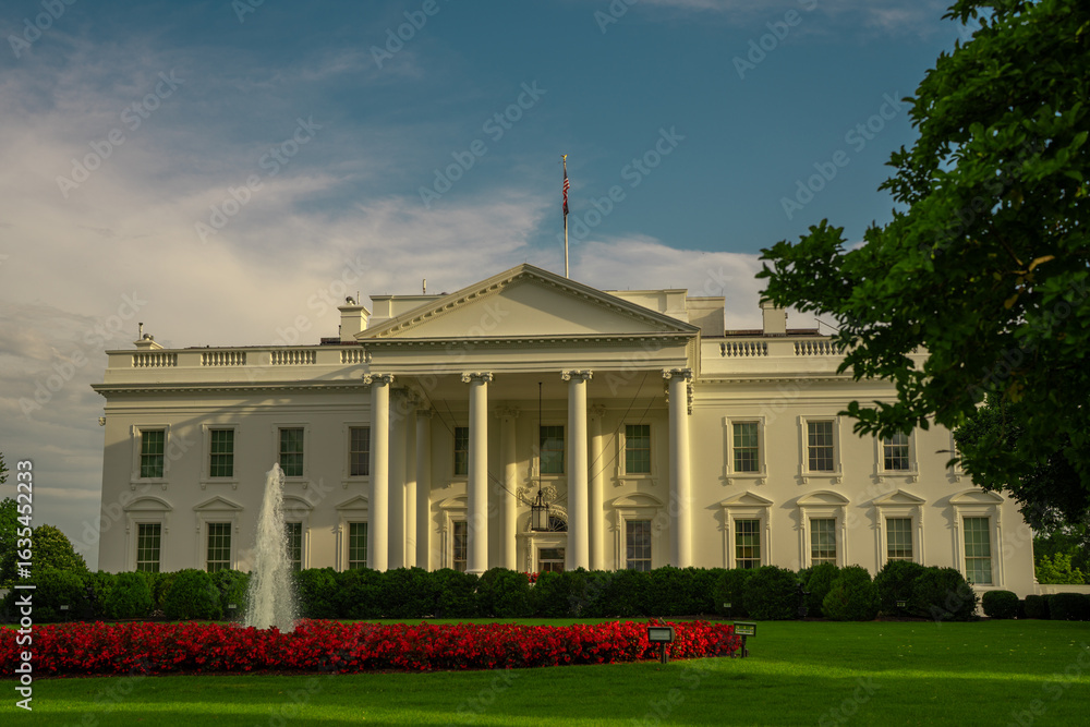 Obraz premium White House in Washington DC. The White House under blue sky. American presidents residence. Iconic White House building. Federal government. The White House and American flag.