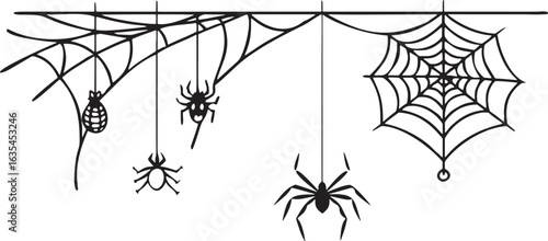 Black spiders and cobwebs hanging on white background vector illustration arachnid insect