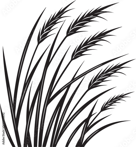 Elegant Wheat Sheaf Graphic Design