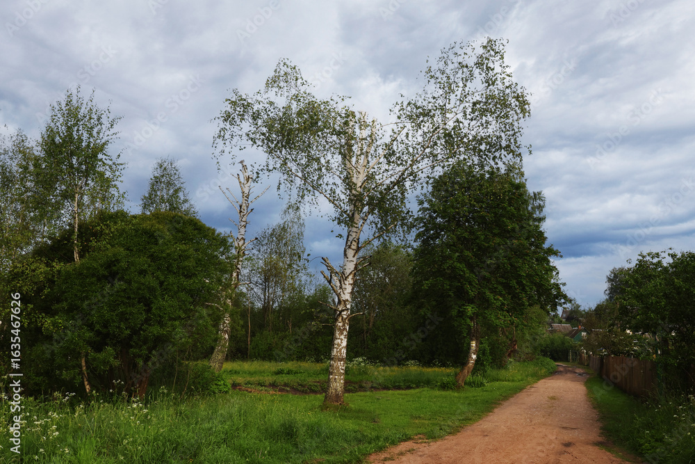 Fototapeta premium A small country road in the village.