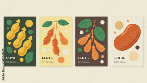 Four minimalist botanical illustrations of soya and lentils with text legume bean