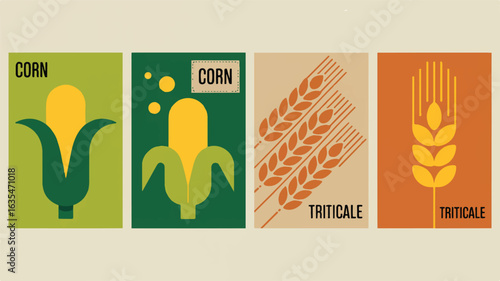 Four minimalist graphic posters featuring corn and triticale crops agriculture grain