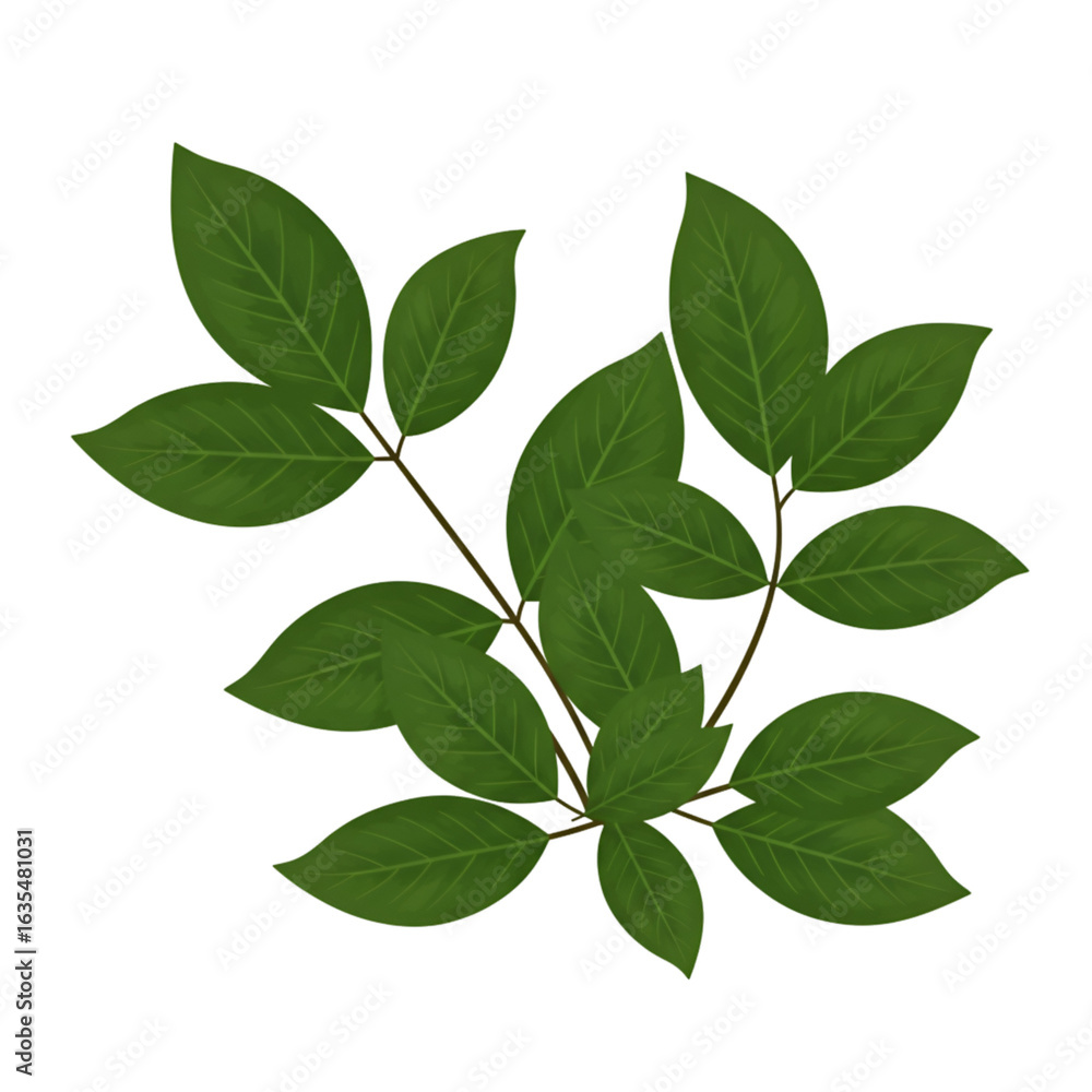 Obraz premium Illustration Of Green Leaves And Brown Branches Isolated On Transparent Background