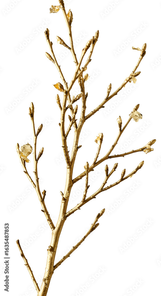 Obraz premium Isolated Branch With Delicate Flowers Illustration In Golden Color