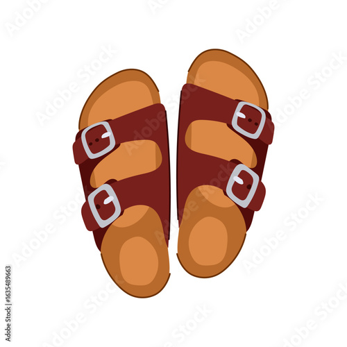 flipflops beach footwear cartoon vector illustration