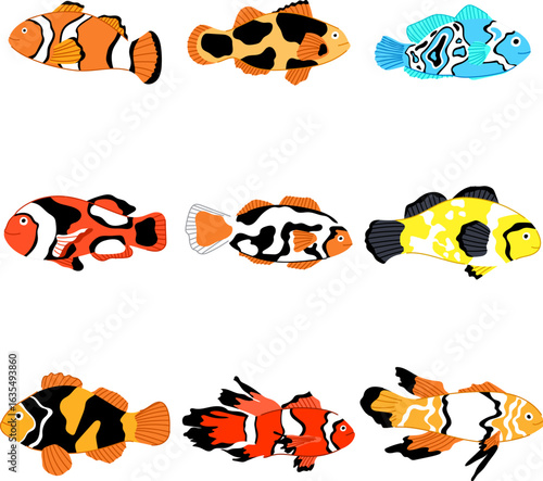 clown fish set cartoon vector illustration