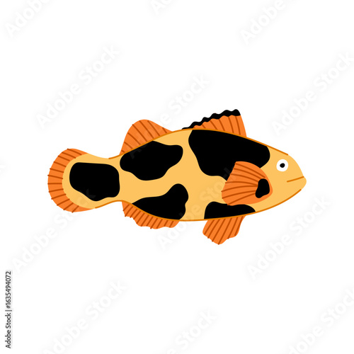 species clown fish cartoon vector illustration