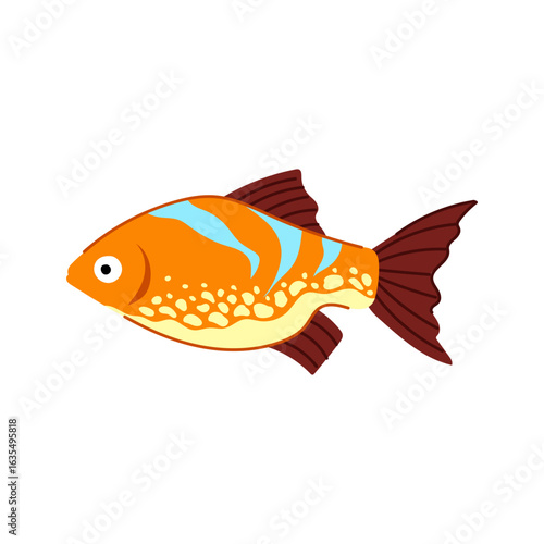 platy decorative fish cartoon vector illustration