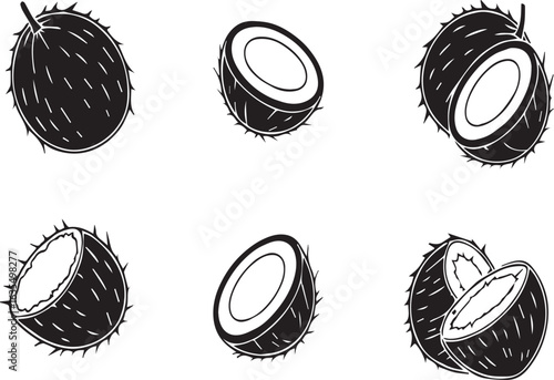 set of different kinds of coconuts vector