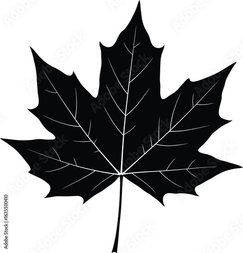 crisp clean stylish elegant modern detailed professional high quality Autumn Leaf Silhouette on Transparent Background
