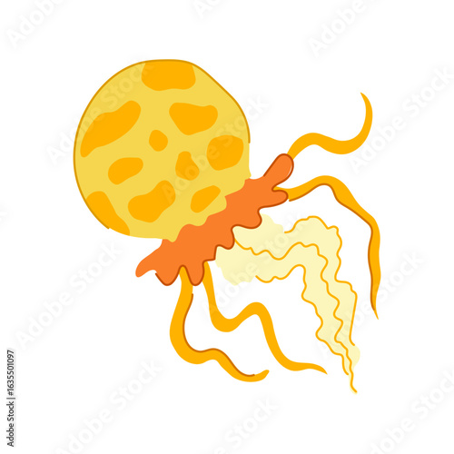 transparent jellyfish cartoon vector illustration