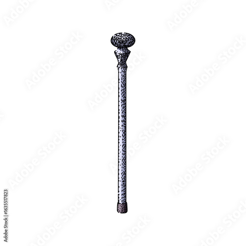walking cane stick gentleman sketch hand drawn vector