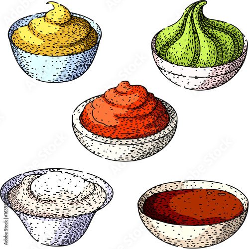 sauce set sketch hand drawn vector