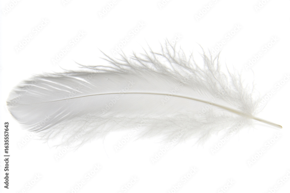 Fototapeta premium Floating Feather in a Snowy Landscape