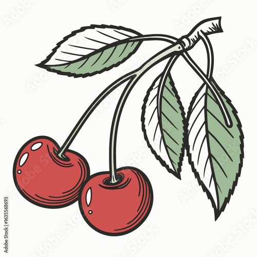 vector illustration of cherry