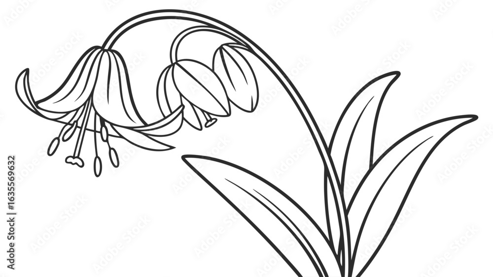Obraz premium Bell Flower Line Art Illustration. Botanical Outline Drawing with Leaves for Coloring Books and Nature-Inspired Designs.