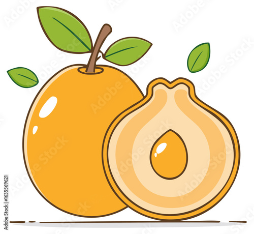 Cartoon loquat fruit illustration with whole and halved fruit and leaves