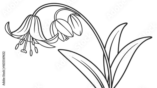 Bell Flower Line Art Illustration. Botanical Outline Drawing with Leaves for Coloring Books and Nature-Inspired Designs.