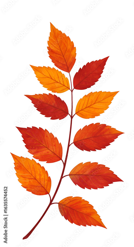 Realistic Illustration of Autumn Leaf Branch with Red and Orange Colors on Transparent Background