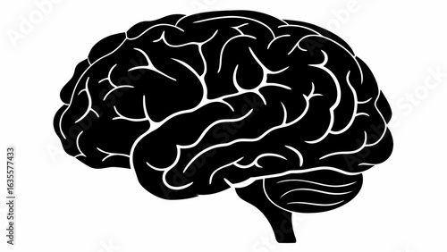 Human Brain Anatomy Silhouette Vector