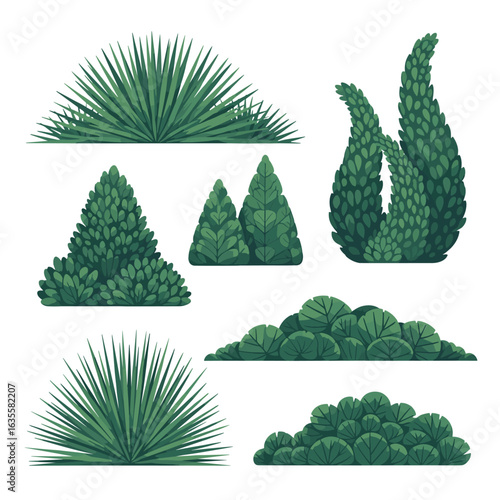 Collection of decorative green shrubs and topiary plants for landscape design elements