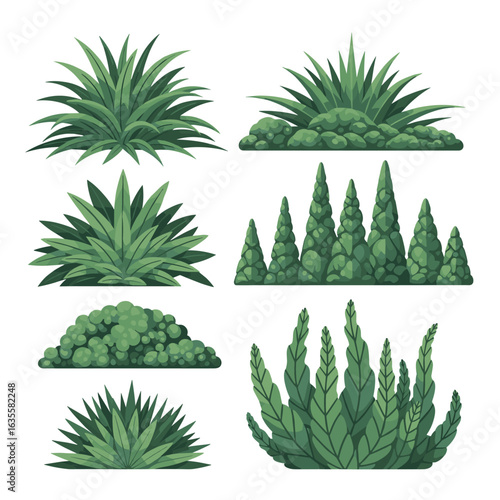 Collection of diverse green ornamental shrubs and bushes ideal for garden landscaping and natural decorative elements