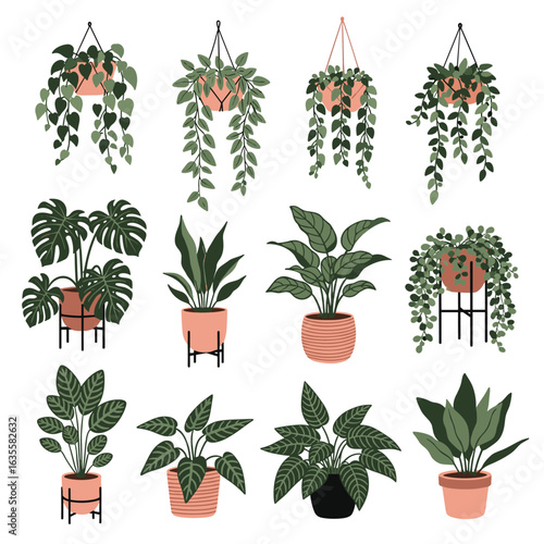 Collection of various indoor houseplants in stylish pots for home decor and green spaces