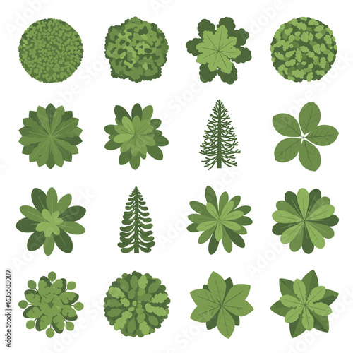 A collection of diverse tree and bush top view illustrations for architectural design and urban planning projects