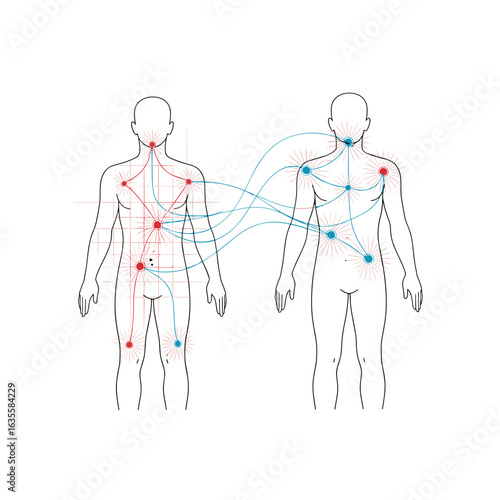 Understanding interconnected biological systems and their complex communication networks