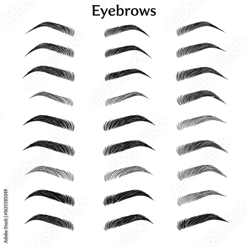 Illustrated set of various natural eyebrow shapes for beauty
